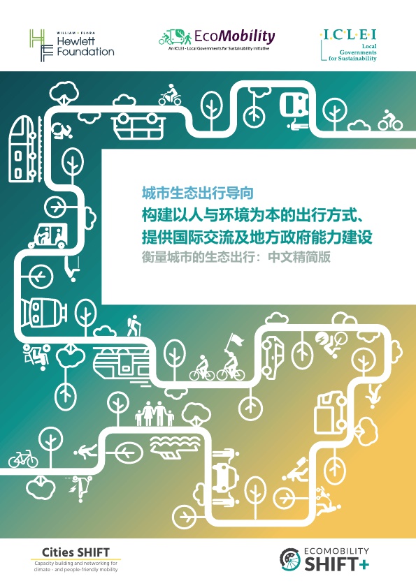 Chinese Report Cover.PNG
