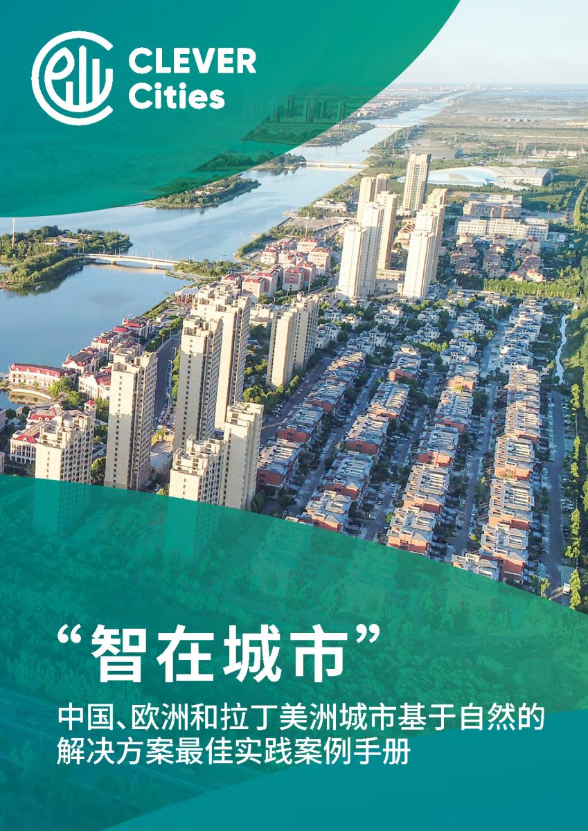 ICLEI_CLEVER_Regional_Solutions_Catalogue_CHINESE
