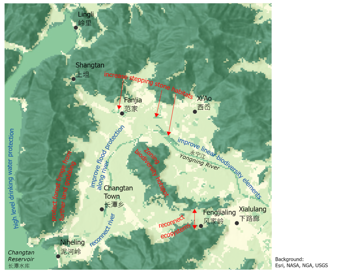 Fig. 12 Suggestions for ecological restoration in Beiyang township, based on biodiversity assessment (Basemap: Esri, NASA, NGA, USGS; map: created by IOER) 