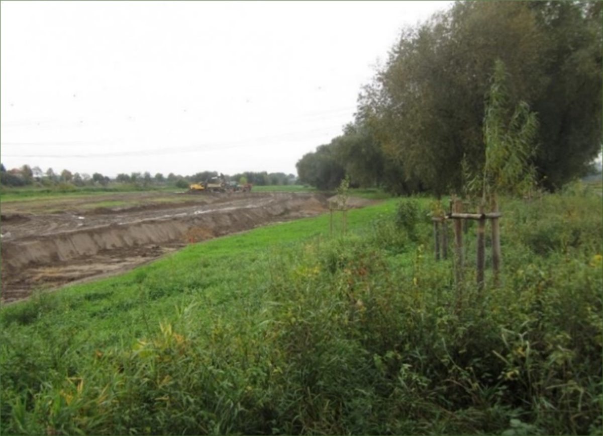 Fig. 13 Restoration of a floodplain beside the Elbe River in Dresden, Germany: removal of debris, re-wetting, re-planting, re-wilding